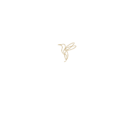 DD&M